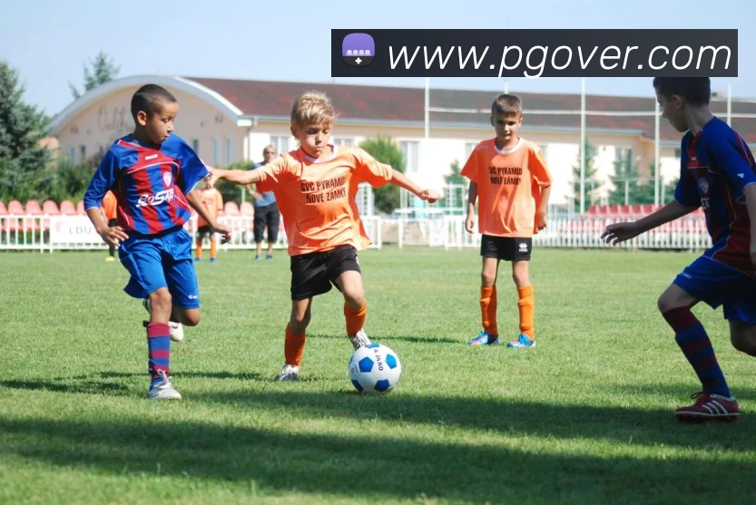 pg电子平台生态图